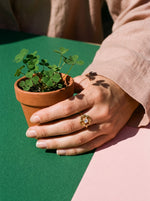 Lundholm Bloom klavertjevier ring met hartjes goudkleurig gedragen, hand om een klaverplantje