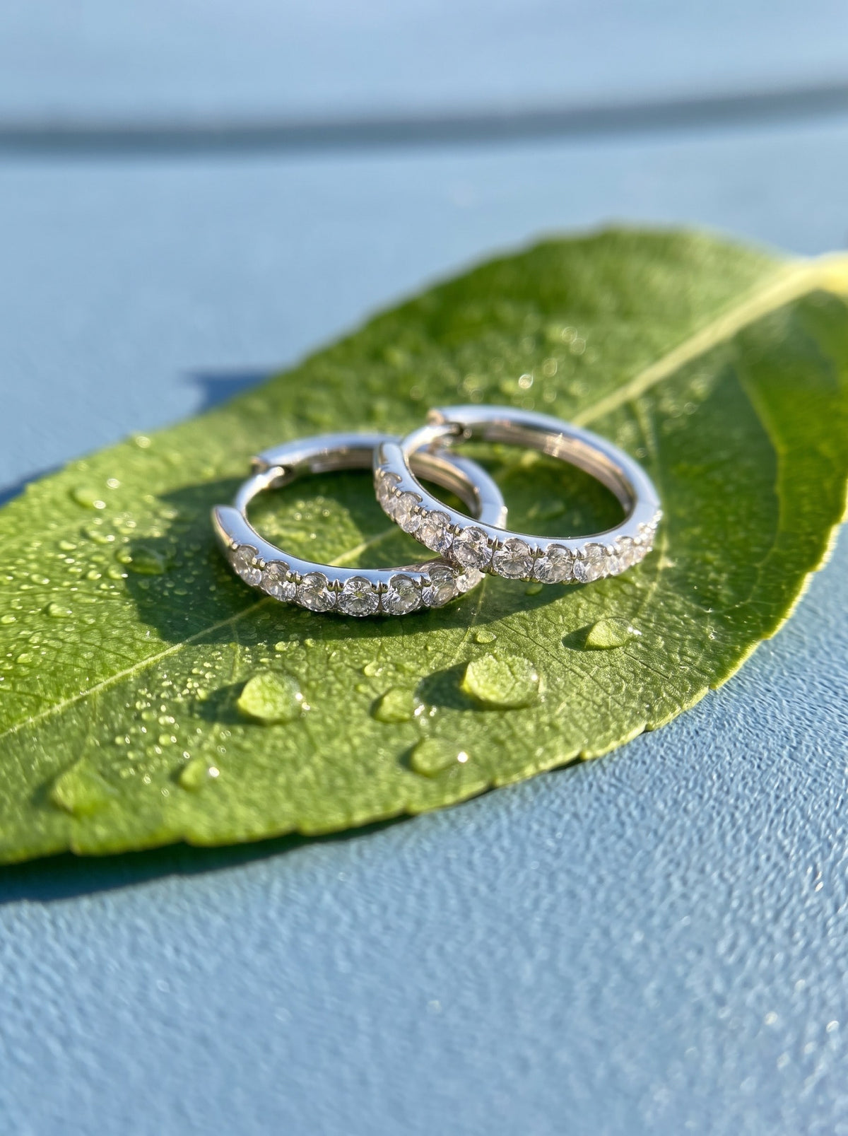 Lundholm Delia kleine oorringen met zirkonia zilverkleurig op een groen blad met waterdruppels