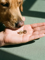 Lundholm Molly hondenpootjes oorknopjes goudkleurig in een hand, met een golden retriever