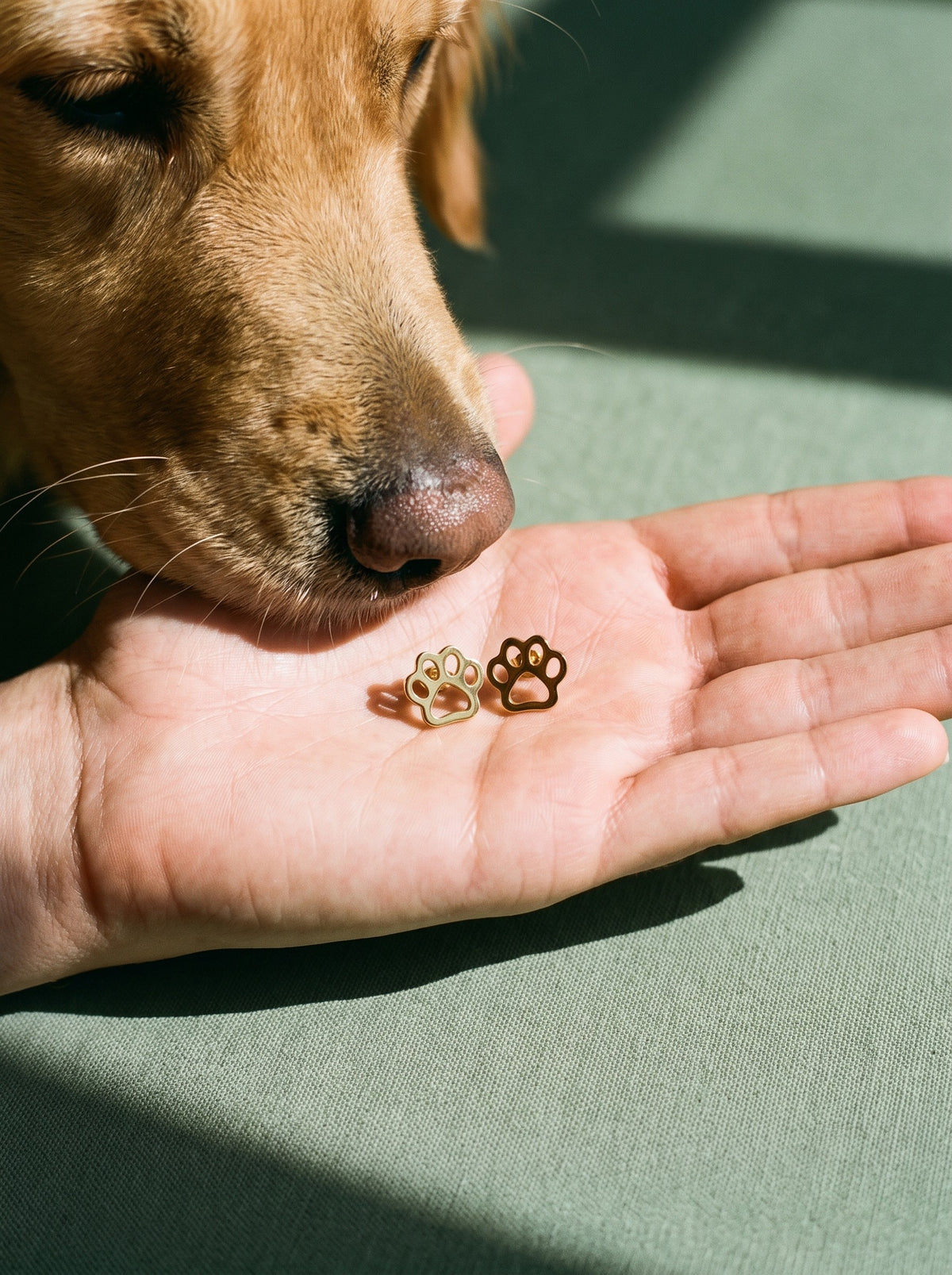 Lundholm Molly hondenpootjes oorknopjes goudkleurig in een hand, met een golden retriever