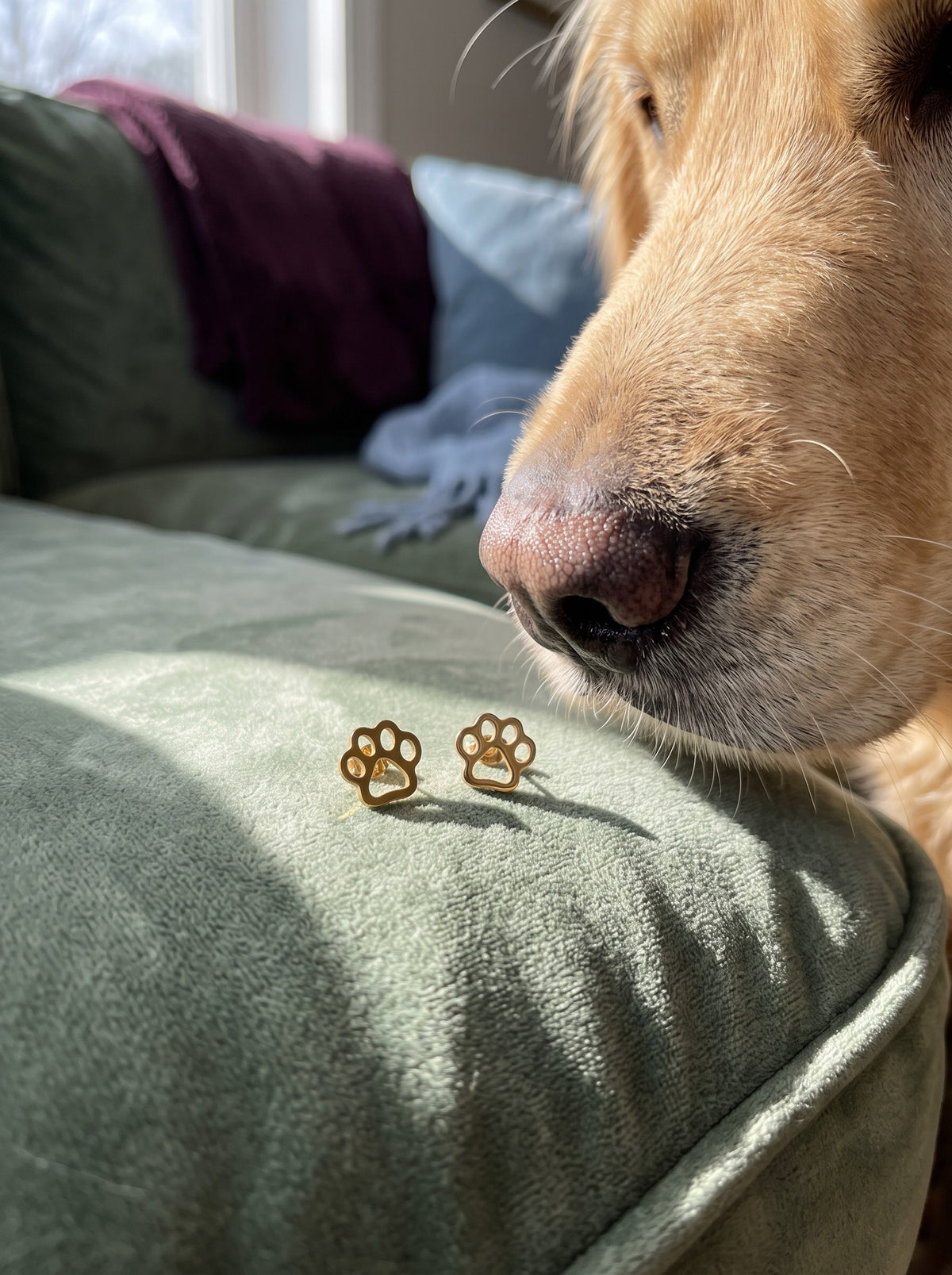 Lundholm Molly hondenpootjes oorknopjes goudkleurig op een kussen, met een nieuwsgierige golden retriever