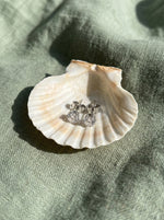 Lundholm Nikki oorknopjes 4 mm zilver op een schelp