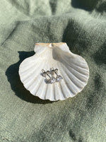 Lundholm Nikki oorknopjes 4 mm zilver in een schelp