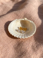Lundholm Nikki oorknopjes 5 mm goud in een schelp