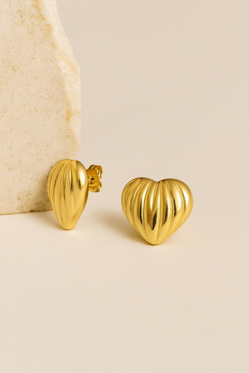 Saga - Oorbellen - Stainless Steel